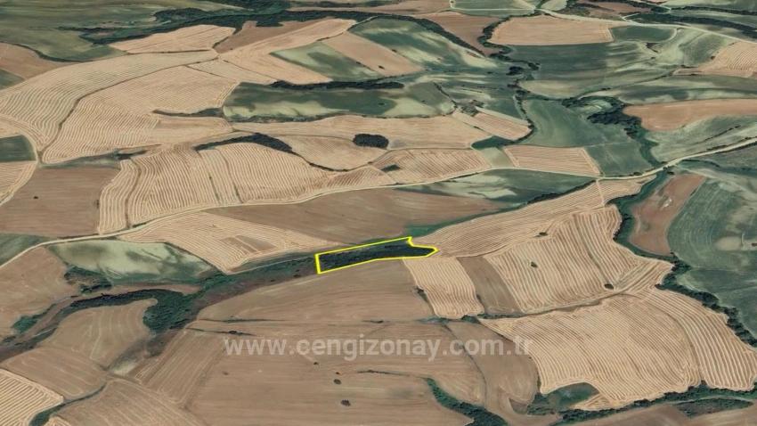 An Unmissable Investment Opportunity: 8,100 M² Of Bargain Land In The Oruç Beyli Neighborhood Of Tekirdağ.