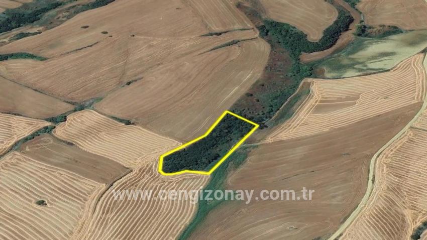 Field For sale in Oruçbeyli Nbh. Süleymanpaşa - Field Zoned - 8.100 m²