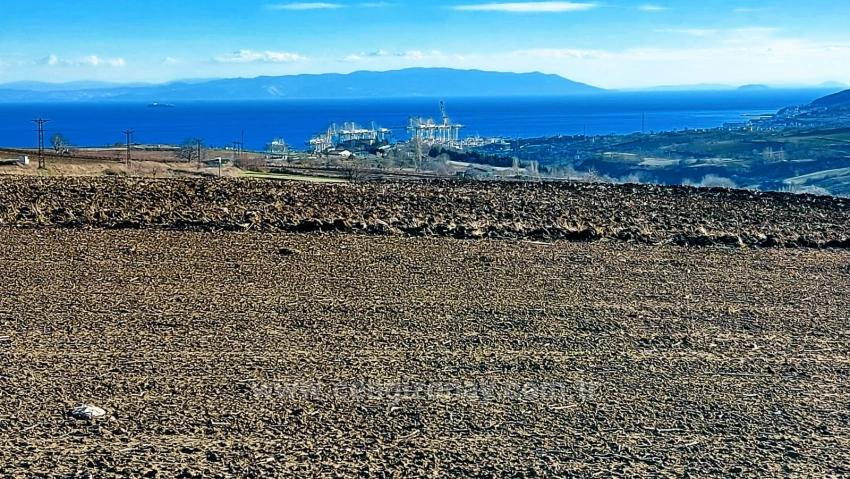 Opportunity Land In The Factories Region, With High Short-Term Profits