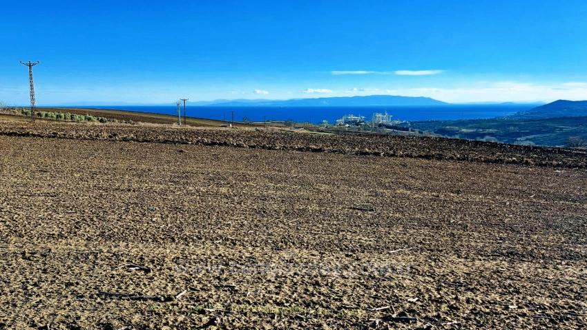 Opportunity Land In The Factories Region, With High Short-Term Profits