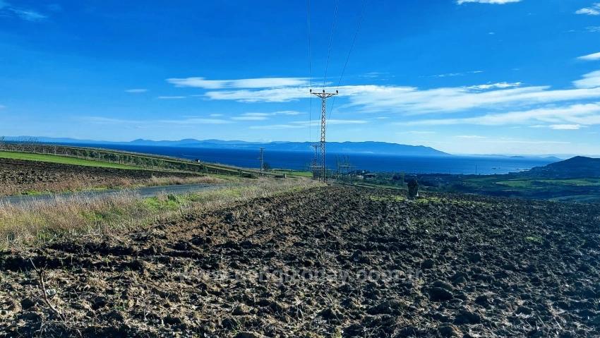 Opportunity Land In The Factories Region, With High Short-Term Profits