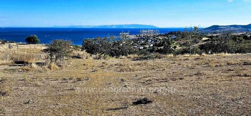 High Profit Guarantee For Those Who Want To Buy And Sell Urgent Sale Due To Cash Needs