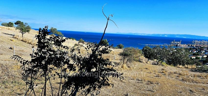 High Profit Guarantee For Those Who Want To Buy And Sell Urgent Sale Due To Cash Needs