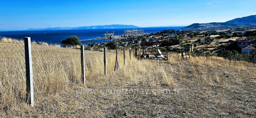 High Profit Guarantee For Those Who Want To Buy And Sell Urgent Sale Due To Cash Needs