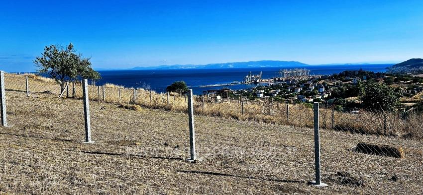 High Profit Guarantee For Those Who Want To Buy And Sell Urgent Sale Due To Cash Needs