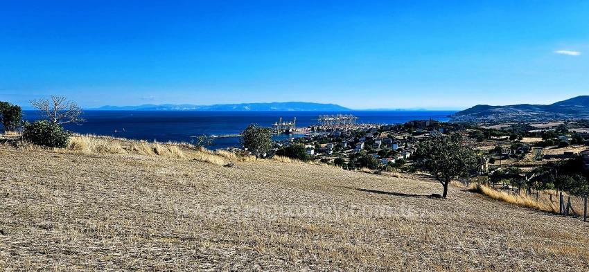 High Profit Guarantee For Those Who Want To Buy And Sell Urgent Sale Due To Cash Needs