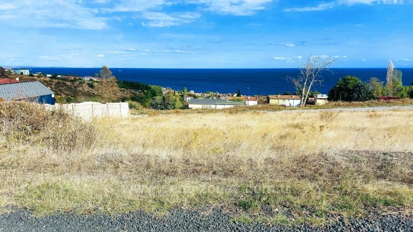 Triplexs Land Is A Great Opportunity For Those Who Want To Build A Detached House With Small Capital