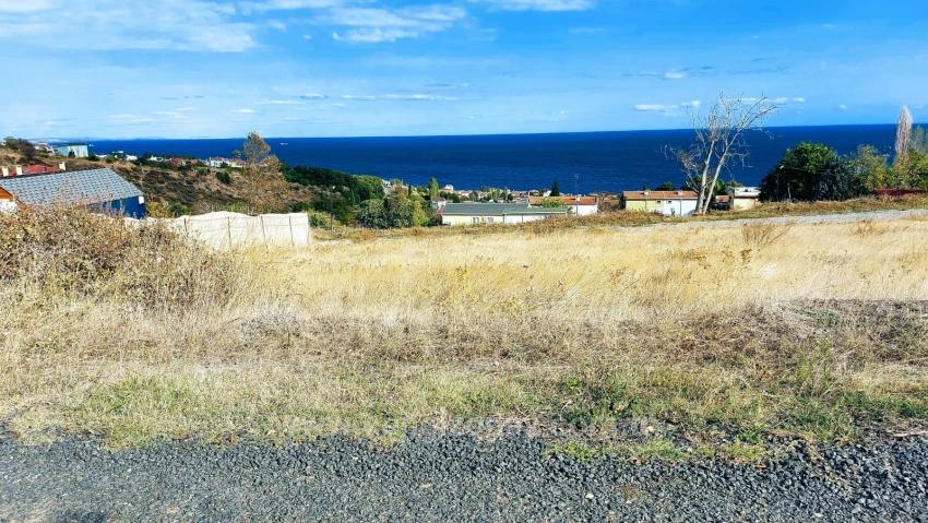 Triplexs Land Is A Great Opportunity For Those Who Want To Build A Detached House With Small Capital