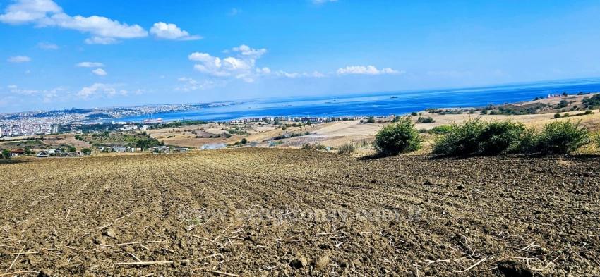 Land Opportunity Suitable For 4 Luxury Villas With Full Sea View