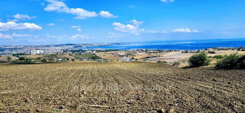 Land Opportunity Suitable For 4 Luxury Villas With Full Sea View