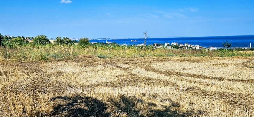 Field For sale in Barbaros Nbh. Süleymanpaşa Kumbağ - Housing Zoned - 8.500 m²