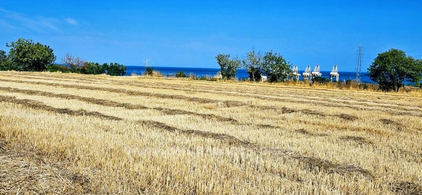 8,500 M2 Residential Land With High Profit Promise, Close To Asyaport Port