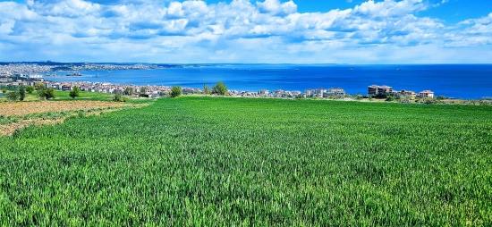 Possibility To Build 44 2+1 Flats With Full Sea View, Suitable For Cooperative And Site Construction