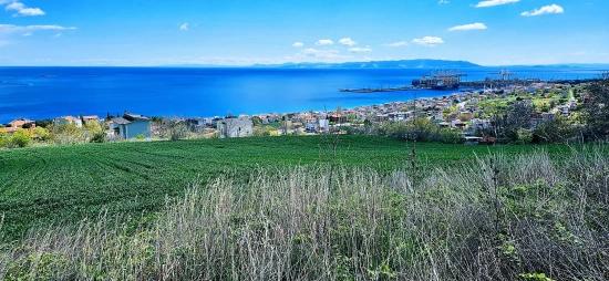 15 Luxury Villas With Unique Full Sea And Nature Views, Located In A Suitable Area For The Project