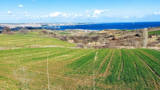 Land Suitable For 8 Villa Projects With Full Sea And Nature Views In Tekirdağ Barbarosta