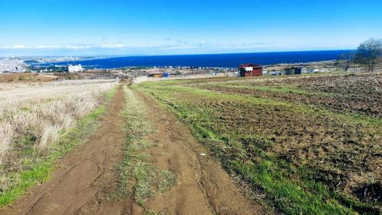 32 Luxury Villas With Great Sea, Nature And City Views, Opportunity Land Suitable For The Project