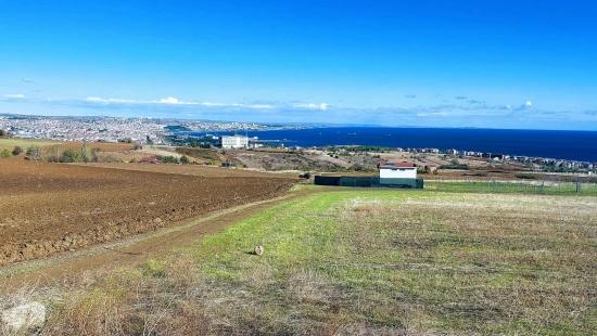 32 Luxury Villas With Great Sea, Nature And City Views, Opportunity Land Suitable For The Project