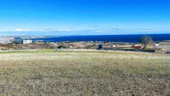 Apply Emergency Hourly Luxury Villa Project, Provide High Earnings, Completely Full Sea And Nature View