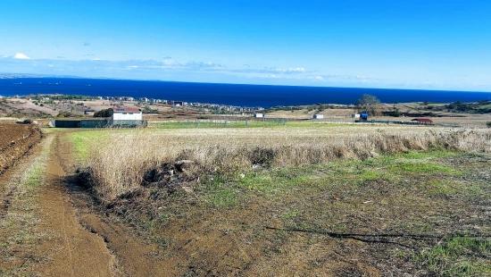 32 Luxury Villas With Great Sea, Nature And City Views, Opportunity Land Suitable For The Project