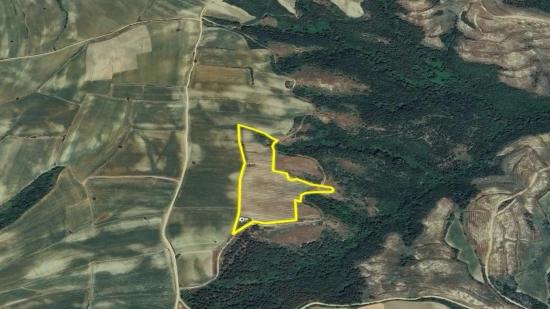 *Barter+Cash* Build A Farm With State Support* Produce And Grow* Secure Your Future*