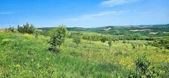 *barter+cash* Build A Farm With State Support* Produce And Grow* Secure Your Future*