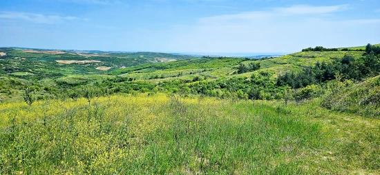 *barter+cash* Build A Farm With State Support* Produce And Grow* Secure Your Future*
