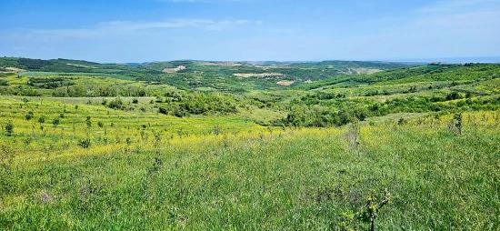 *barter+cash* Build A Farm With State Support* Produce And Grow* Secure Your Future*