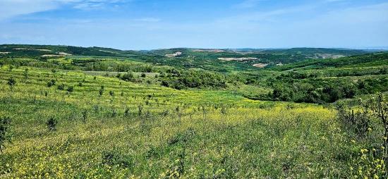 *barter+cash* Build A Farm With State Support* Produce And Grow* Secure Your Future*