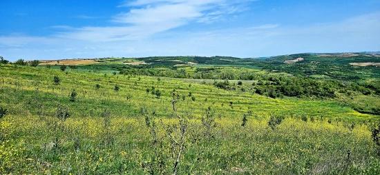 *barter+cash* Build A Farm With State Support* Produce And Grow* Secure Your Future*