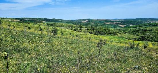 *barter+cash* Build A Farm With State Support* Produce And Grow* Secure Your Future*