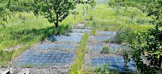 *barter+cash* Build A Farm With State Support* Produce And Grow* Secure Your Future*