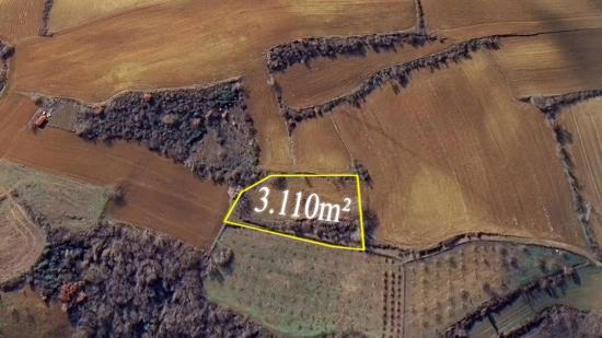 Investment Opportunity: Guaranteed High Profit In The Short Term For Those Who Want To Buy And Sell