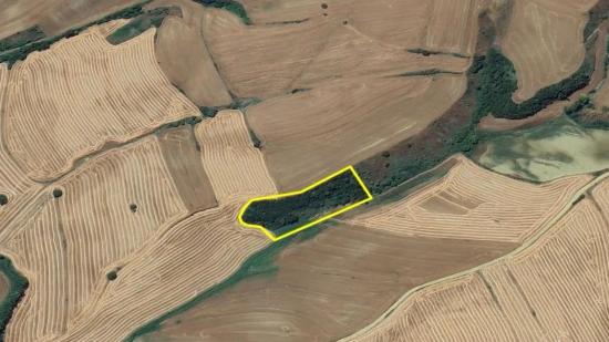 An Unmissable Investment Opportunity: 8,100 M² Of Bargain Land In The Oruç Beyli Neighborhood Of Tekirdağ.