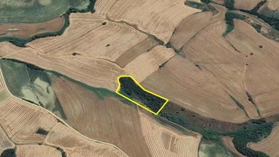An Unmissable Investment Opportunity: 8,100 M² Of Bargain Land In The Oruç Beyli Neighborhood Of Tekirdağ.