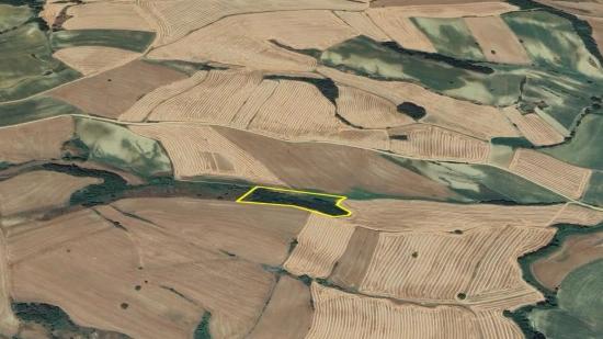 An Unmissable Investment Opportunity: 8,100 M² Of Bargain Land In The Oruç Beyli Neighborhood Of Tekirdağ.