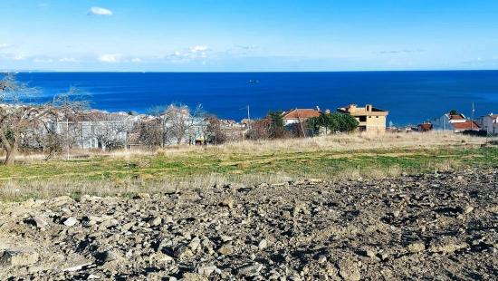 You Can Either Create A Project For 9 Luxury Apartments Or 2 Ultra-Luxury Villas.