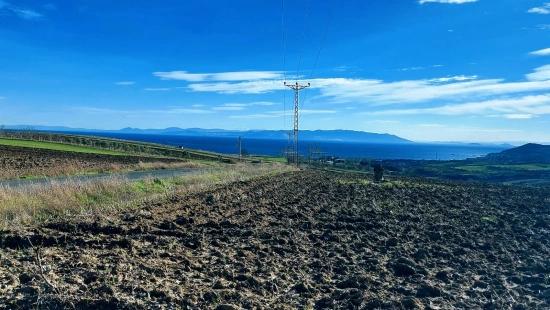 Opportunity Land In The Factories Region, With High Short-term Profits