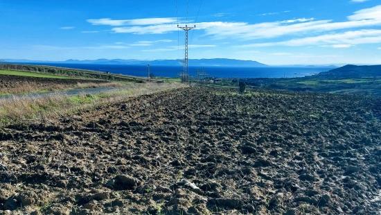 Opportunity Land In The Factories Region, With High Short-term Profits