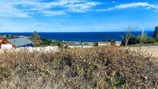 Triplexs Land Is A Great Opportunity For Those Who Want To Build A Detached House With Small Capital