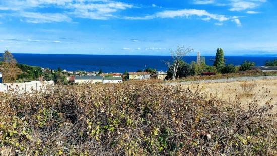Triplexs Land Is A Great Opportunity For Those Who Want To Build A Detached House With Small Capital