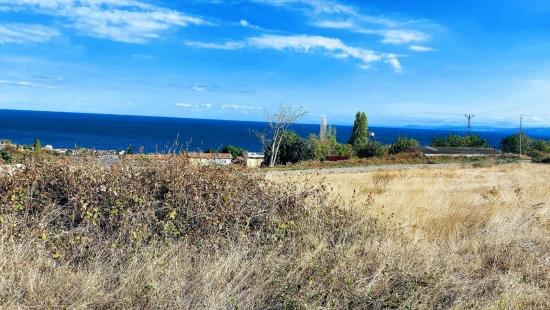 Triplexs Land Is A Great Opportunity For Those Who Want To Build A Detached House With Small Capital