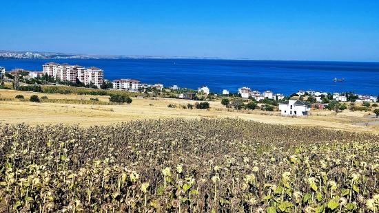 **full Sea View** Build Your Own Detached House** Or Build 6 2+1 Apartments