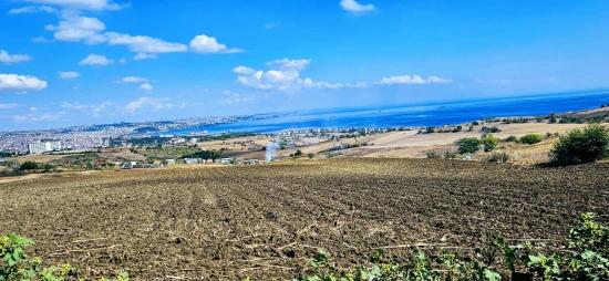 Land Opportunity Suitable For 4 Luxury Villas With Full Sea View