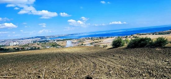 Land Opportunity Suitable For 4 Luxury Villas With Full Sea View