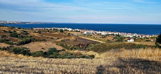 Bargain 1,150 M2 Land With Full Sea View In Tekirdağ Topağaç Neighborhood