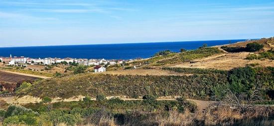 Bargain 1,150 M2 Land With Full Sea View In Tekirdağ Topağaç Neighborhood