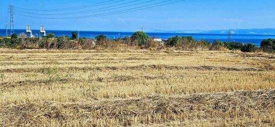 **very Close to the asyaport Port Urgent Residentially Zoned Land for Sale**