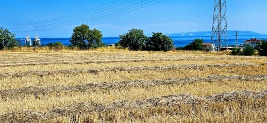 **very Close to the asyaport Port Urgent Residentially Zoned Land for Sale**