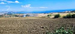Land For Sale in Barbaros Nbh. Süleymanpaşa Kumbağ - Villa Zoned - 405 m²