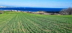 Land With Full Sea And Nature View Suitable For 75 Villa Projects In Tekirdağ Barbarosta